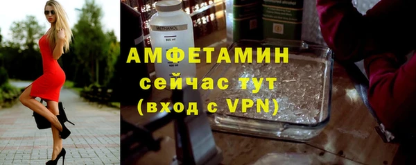амф Алексин