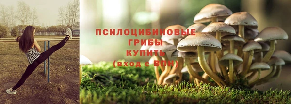 мдпв Алзамай