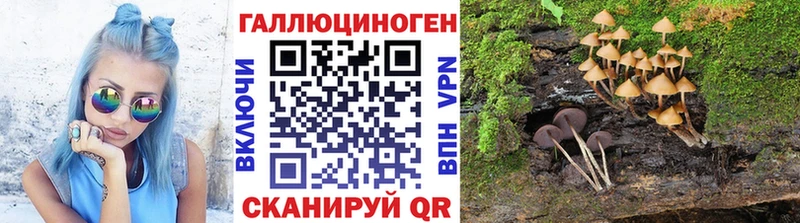 Псилоцибиновые грибы мицелий  где найти   Сольвычегодск 