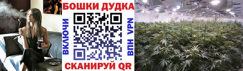 закладки  Сольвычегодск  Шишки марихуана семена 